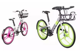 上海街頭12款共享單車大比拼 哪個(gè)是你的菜