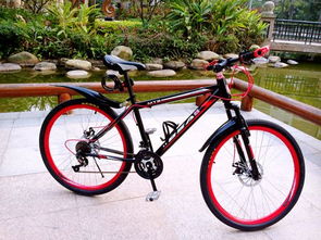 自行車尺寸解讀 XS、S、M、L 的意義及其在電動自行車制造中的應用